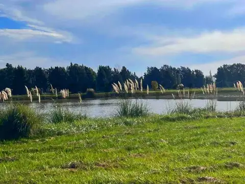 Venta de Lote en  Barrio Cerrado de Brandsen