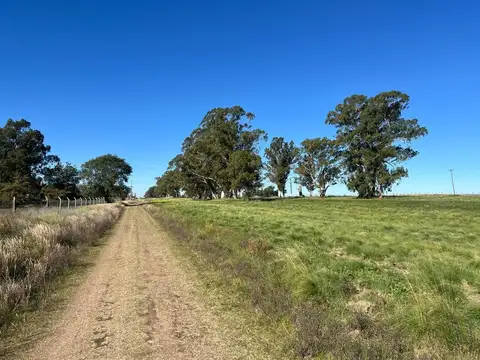 Terreno en Venta de 33900,0 m2