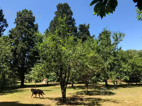 Ramon Falcon y Asuncion