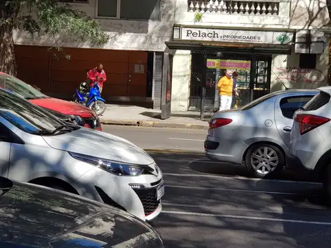 Departamento en alquiler en Botanico vista a hermoso contrafrente jardín