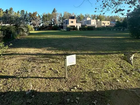 Los Pasos 1