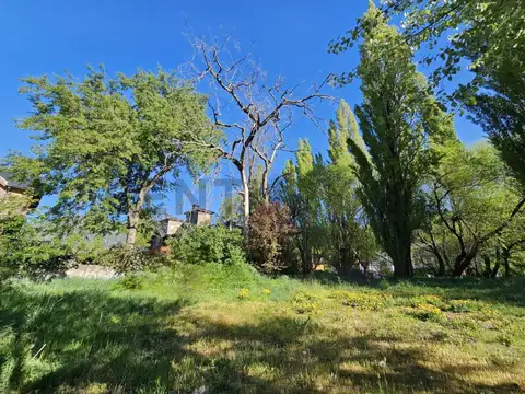 Terreno en Venta en Centro, USD 690.000