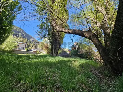 Cipreses 1800, Piso 0