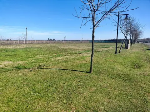 Terreno en Venta de 1005,0 m2