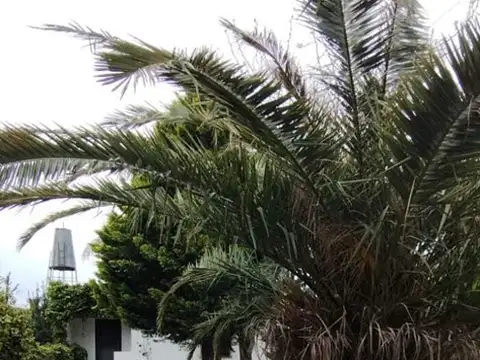 Casa Quinta  en Venta en Luján,  G.B.A. Zona Oeste