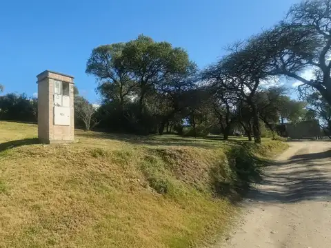Ruta Provincial C45 100