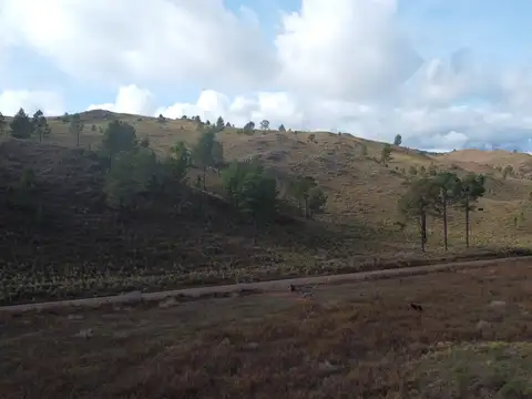 Terreno en Venta de 5000,0 m2