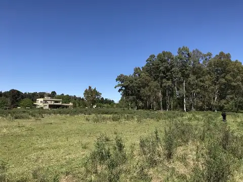 Terreno en Venta de 29400,0 m2