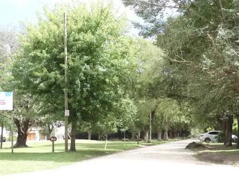 Terreno en Venta 37  mts Fondo