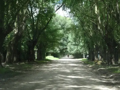 Terreno en Venta 20  mts Frente