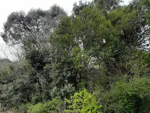 Terreno en Venta en 20 de Junio, USD 53.000