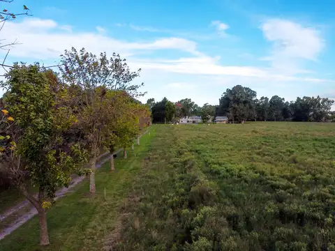 Terreno en Venta en Altos De San Lorenzo, USD 280.000