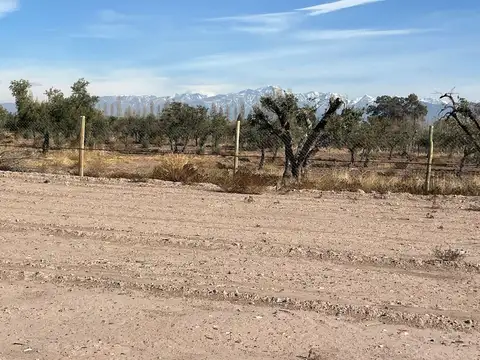 Lote en Venta Plan 35, Cruz de Piedra, Maipú