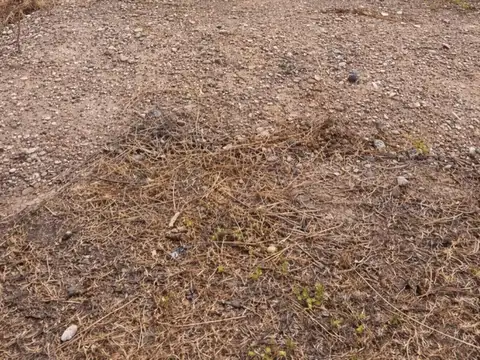 Terreno en Venta en General Roca, USD 8.500