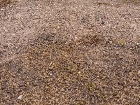 Terreno en Venta de 250,0 m2