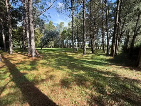 Terreno en Venta 40  mts Fondo