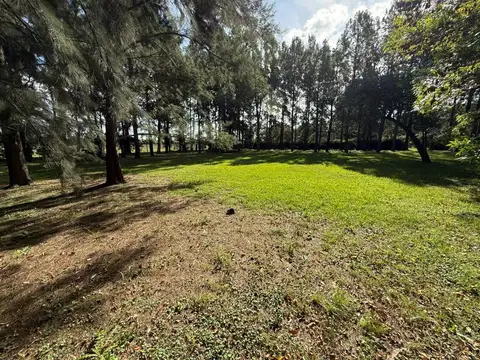 Terreno en Venta, FOT 0,5