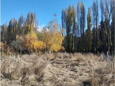 Terreno en Venta 17  mts Frente