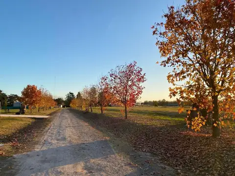 TERRENO EN BARRIO CERRADO LA ASUNCIÓN