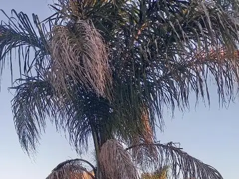 Quinta en Venta de 2 dormitorios