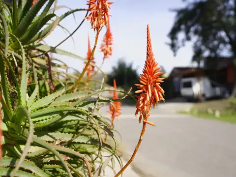 LOTE EN VENTA - DEL VISO  SEMICERRADO - FINANCIADO