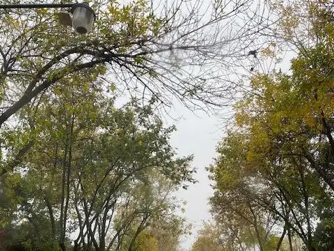 Terreno Lote  en Venta ubicado en Los Quinchos Club de Campo, Pilar, G.B.A. Zona Norte