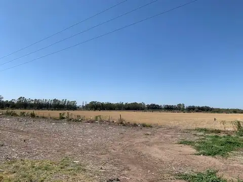 Campo en Venta Agrícola
