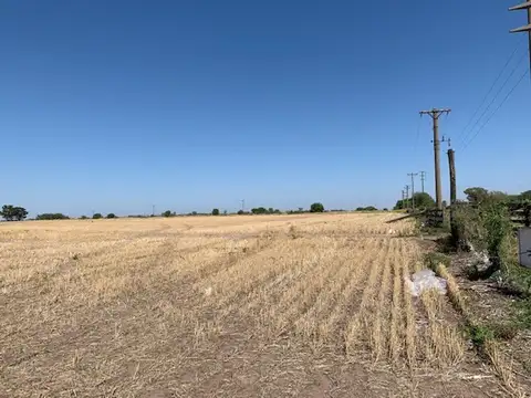 Campo en Venta Agrícola