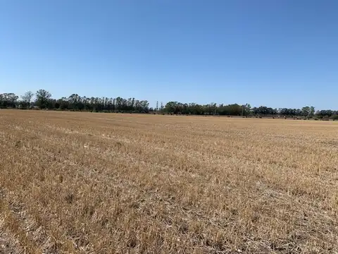 CAMPO 14 HA EN RAMALLO AGRICOLA - PIME
