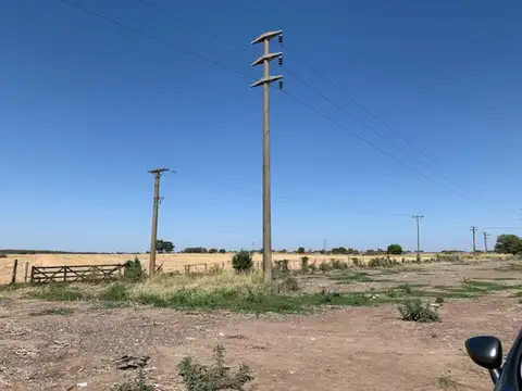 CAMPO 14 HA EN RAMALLO AGRICOLA - PIME