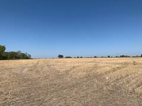 Campo en Venta de 14  ha