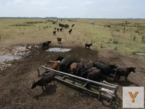 Campo en venta - 10.200.000Mts2 - Realicó