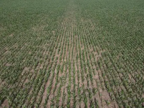 Ruta Provincial 101
