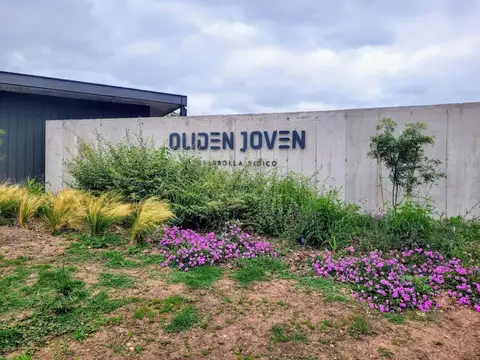 Manuel Luis de Oliden 600