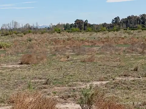 VENTA 4 HECTAREAS EN SAN RAFAEL MENDOZA