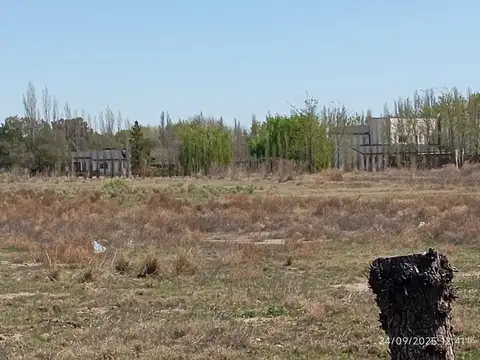 Campo en Venta de 4  ha