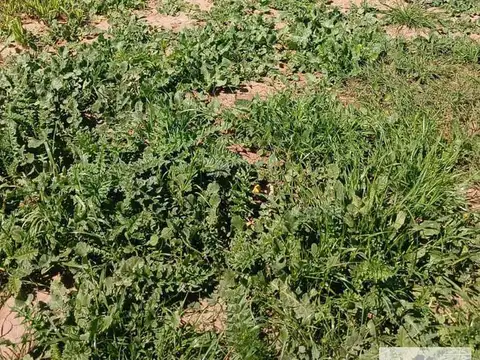 Terreno en venta - 800mts2 - San Fermín - Merlo