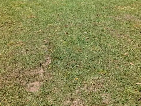 Terreno en Venta de 800,0 m2