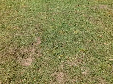 Terreno en Venta de 800,0 m2