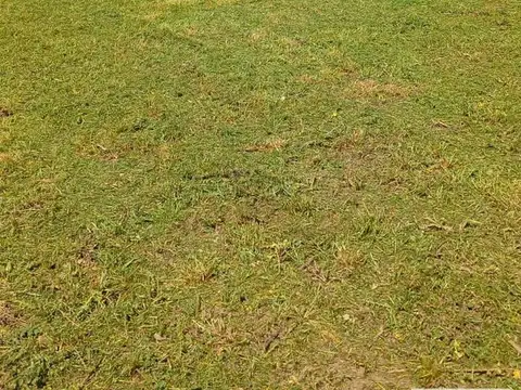 Terreno en Venta 40  mts Fondo