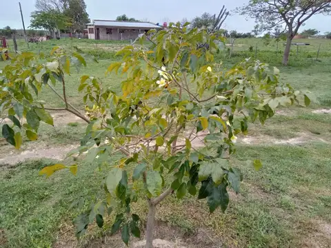 Quinta en Venta 7 años