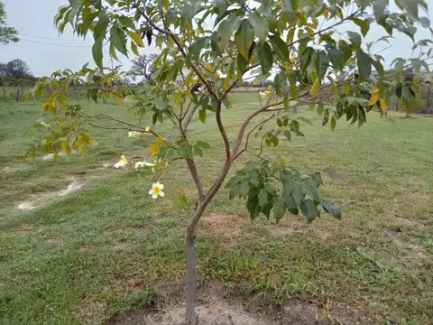 Quinta en Venta al Oeste