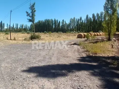 VENTA CHACRA 7.6 HAS - VILLA MANZANO - RIO NEGRO