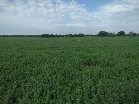 125ha de campo en Colonia Dora, Santiago del Estero