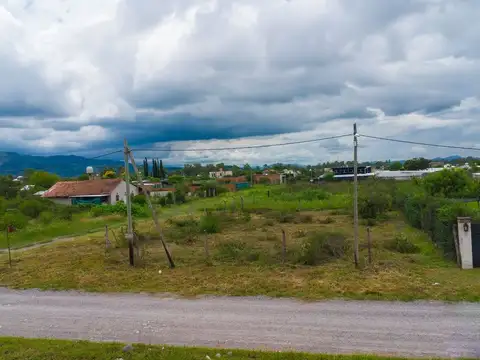Rosario de Lerma. Las Calandrias 100
