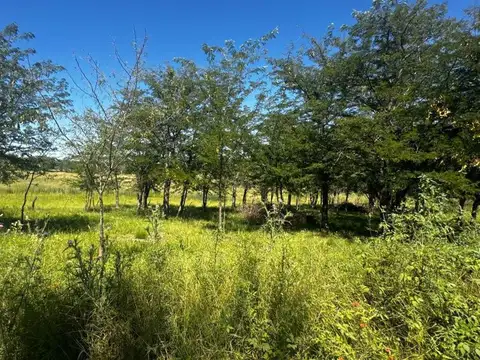 Terreno en Venta de 2869,0 m2