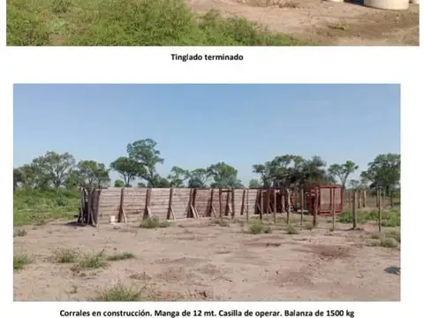 Campo Gandero de primer nivel