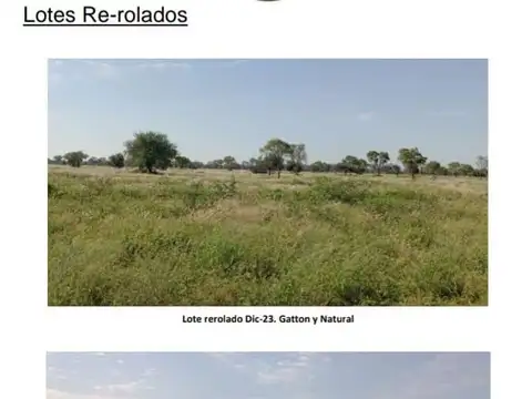 Campo Gandero de primer nivel