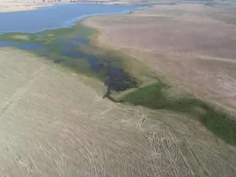 CAMPO ARROCERO  Y GANADERO