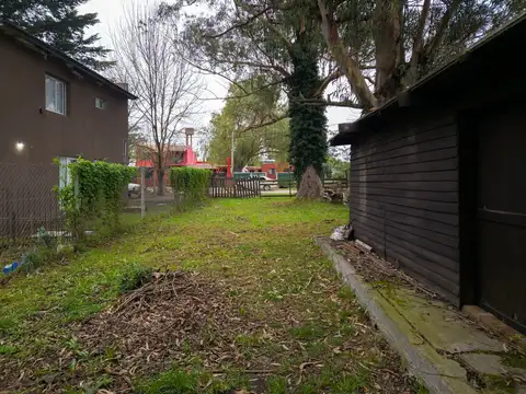 Pacholczuk 800